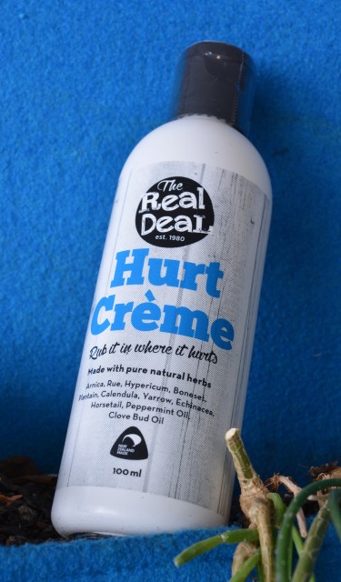 child sitting in autumn leaves child sitting in autumn leaves